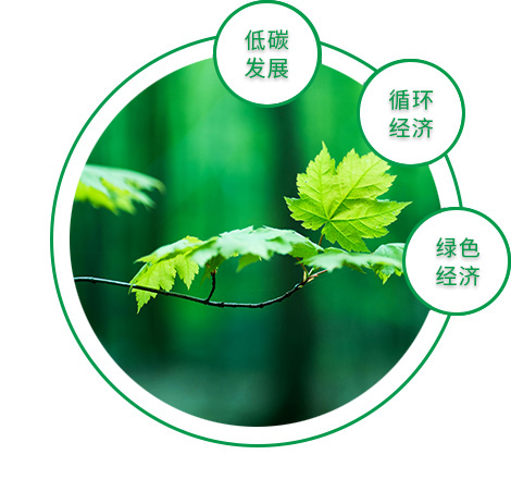 低碳发展路线